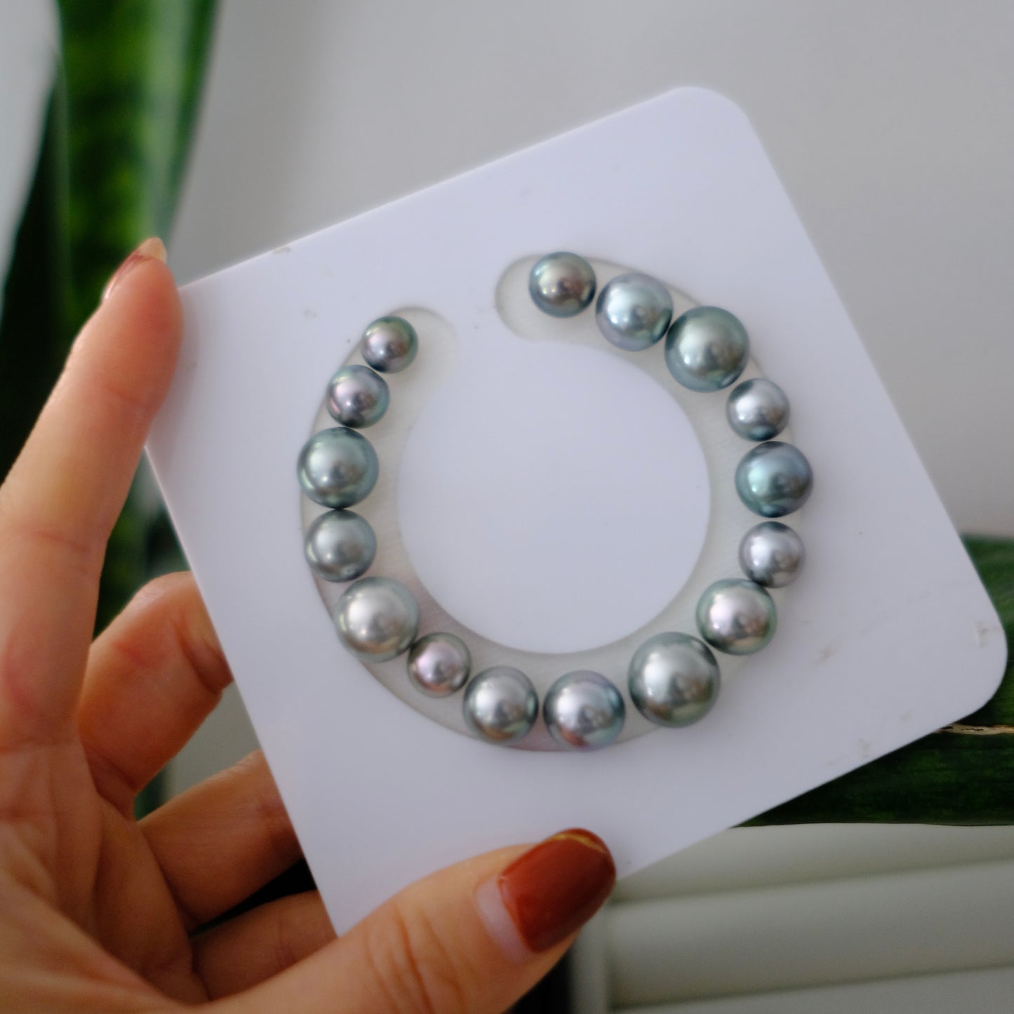 Tahitian Pearl Bracelet, Round/Near Round, Platinum Grey, 8.1-12.5mm