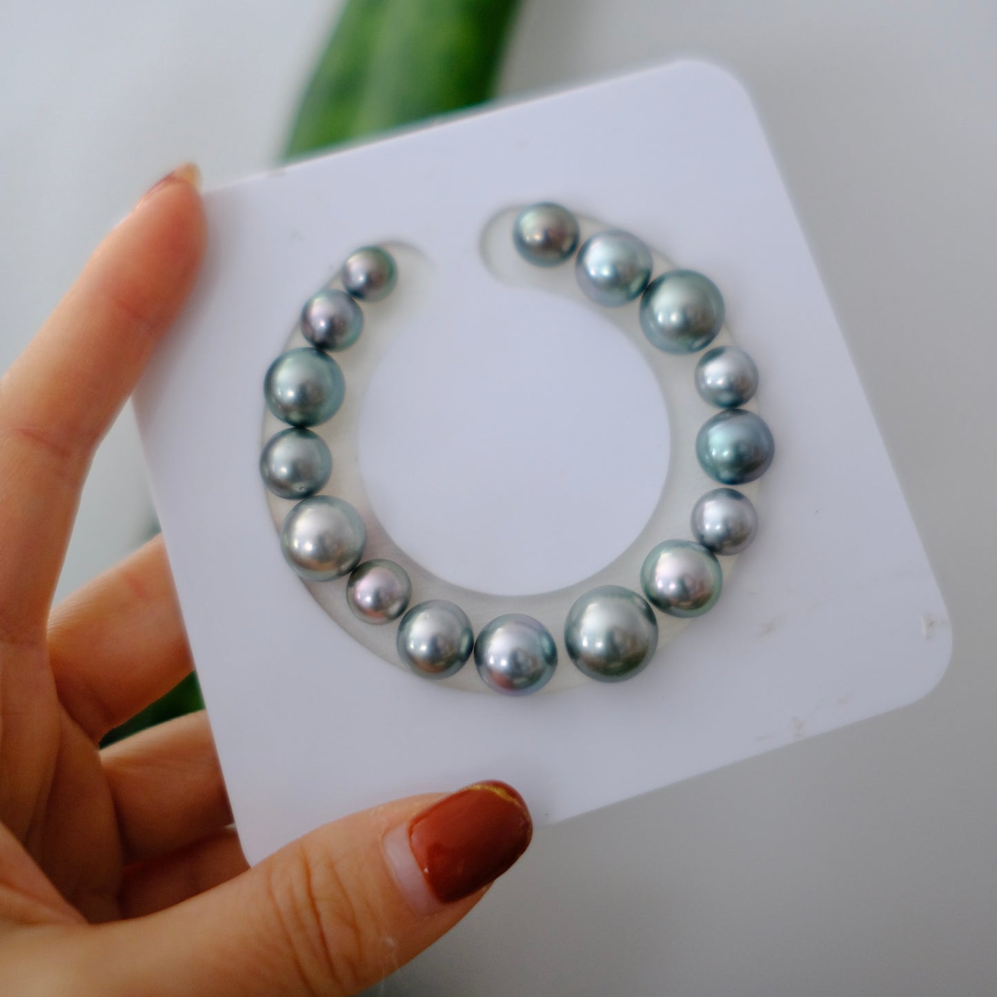 Tahitian Pearl Bracelet, Round/Near Round, Platinum Grey, 8.1-12.5mm