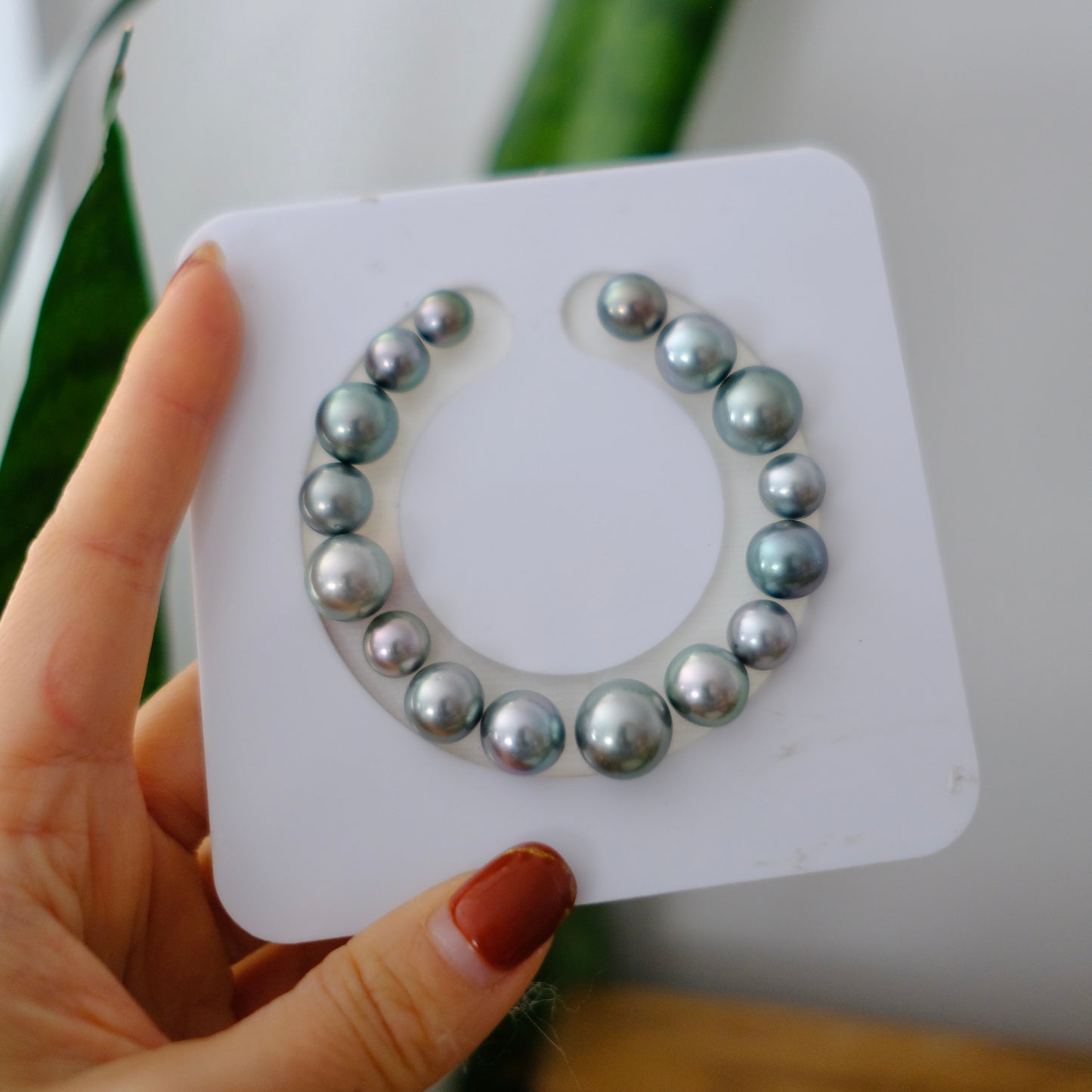 Tahitian Pearl Bracelet, Round/Near Round, Platinum Grey, 8.1-12.5mm