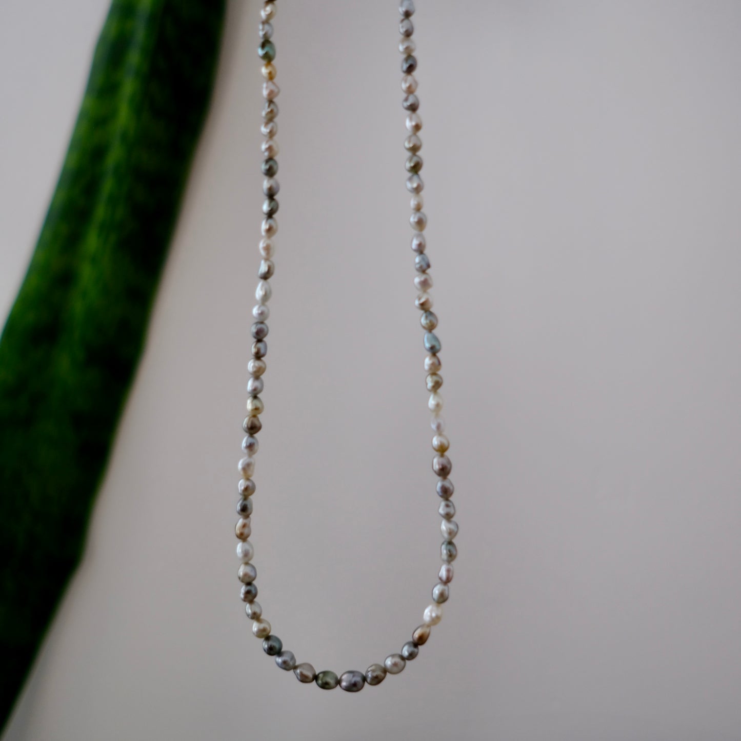 Tahitian Keshi Necklace, 3-4mm