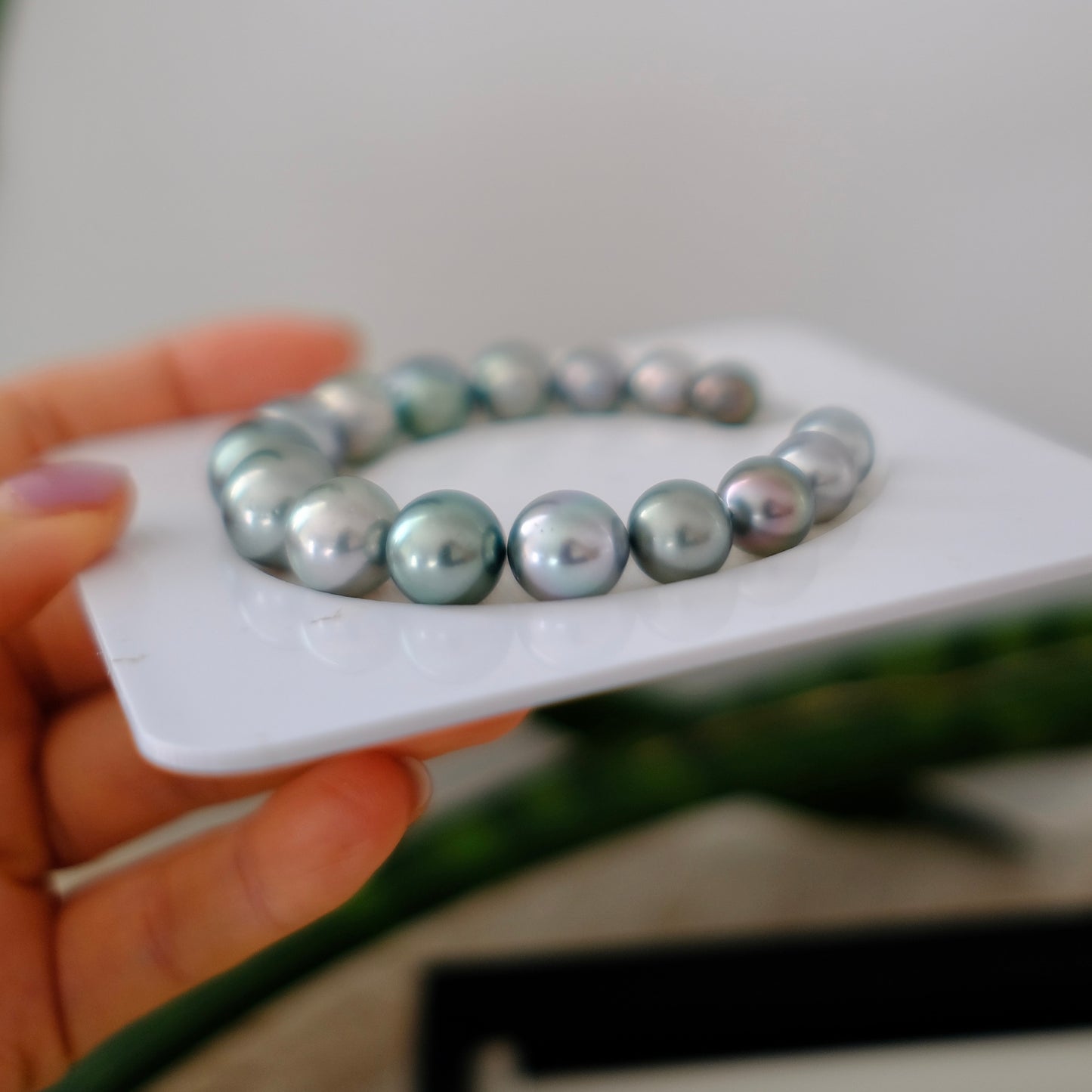 Tahitian Pearl Bracelet, Round/Near Round, Platinum Grey, 8.1-12.5mm