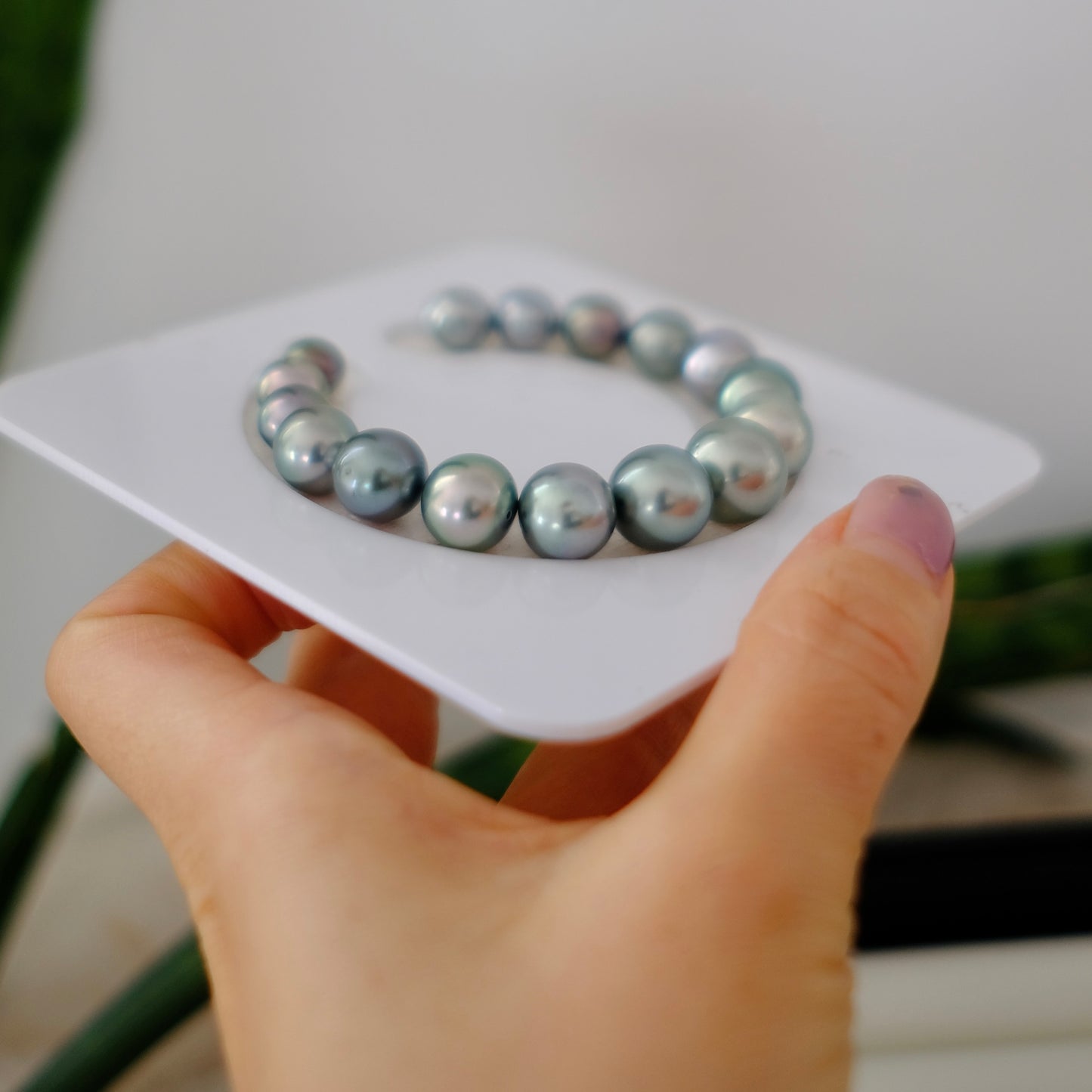 Tahitian Pearl Bracelet, Round/Near Round, Platinum Grey, 8.1-12.5mm