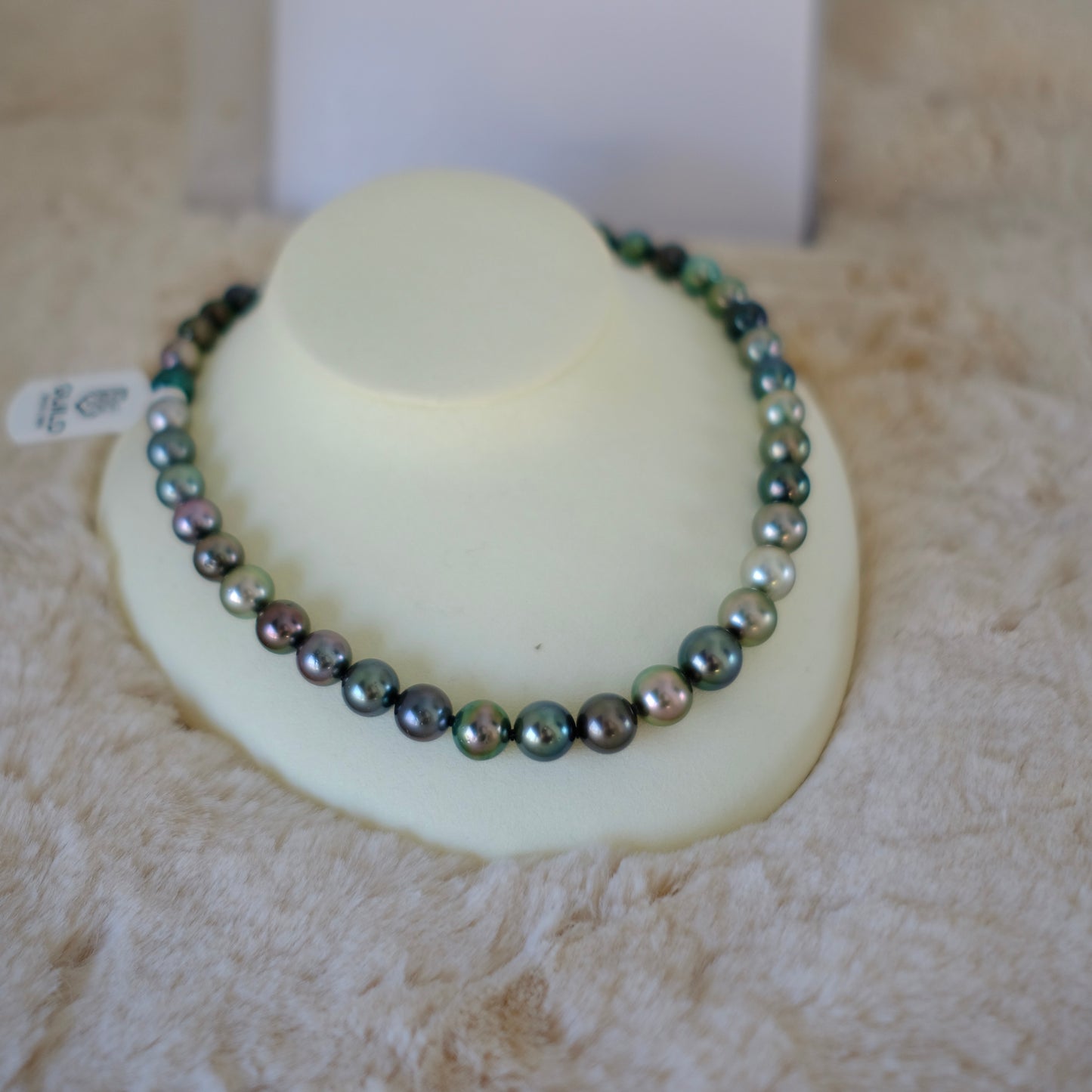 Tahitian Platinum Gray Necklace, 8.7-12mm, Pearl Necklace, GUILD Certificate