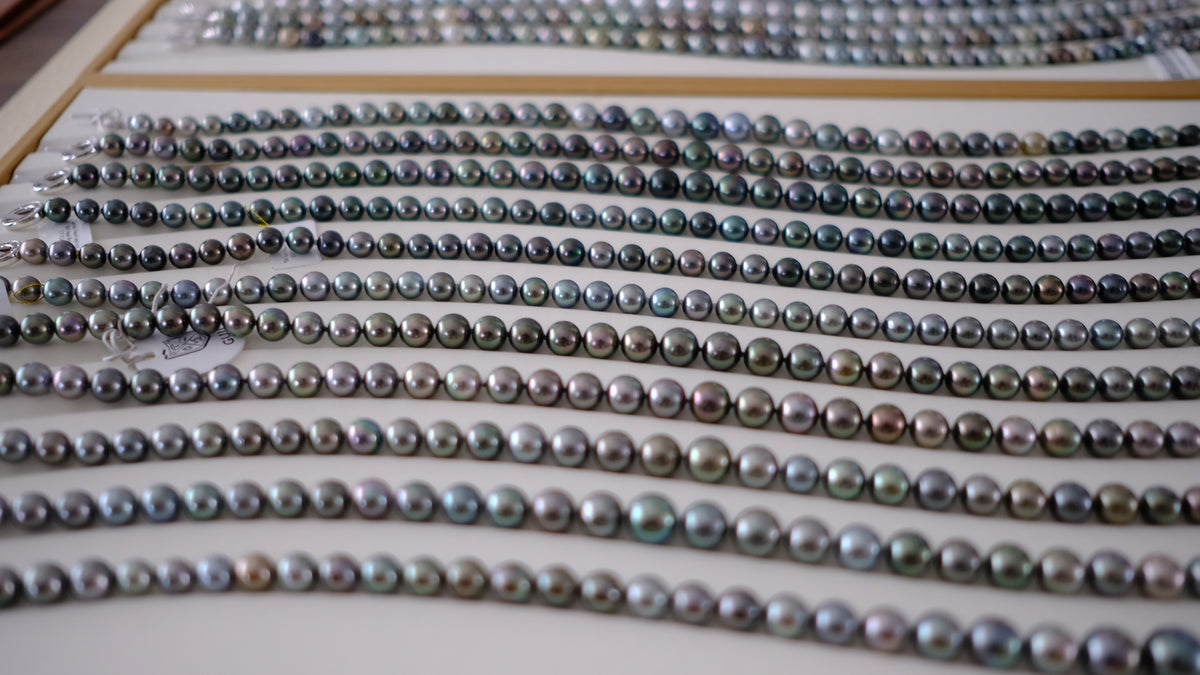 SC004 Tahitian Pearl Necklace