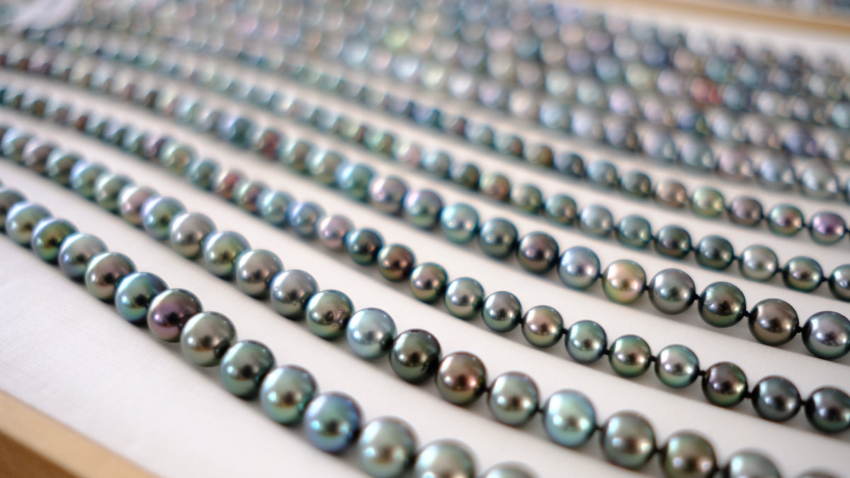 SC004 Tahitian Pearl Necklace