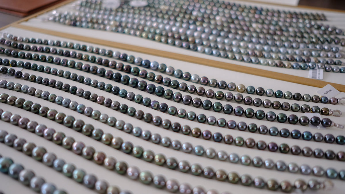 SC004 Tahitian Pearl Necklace