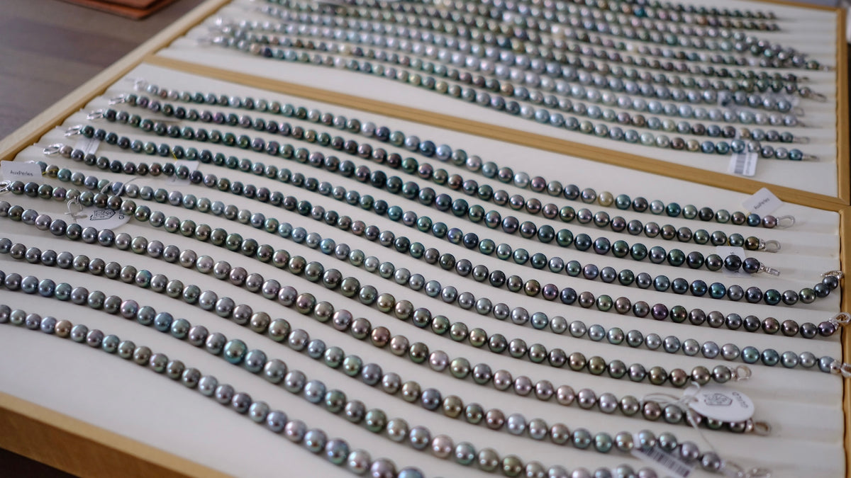 SC004 Tahitian Pearl Necklace