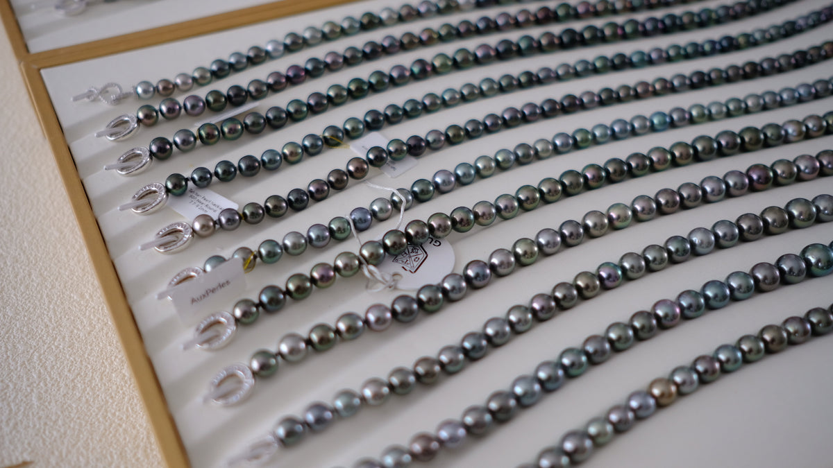SC004 Tahitian Pearl Necklace