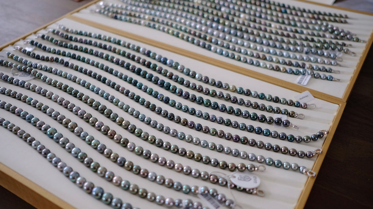 SC004 Tahitian Pearl Necklace
