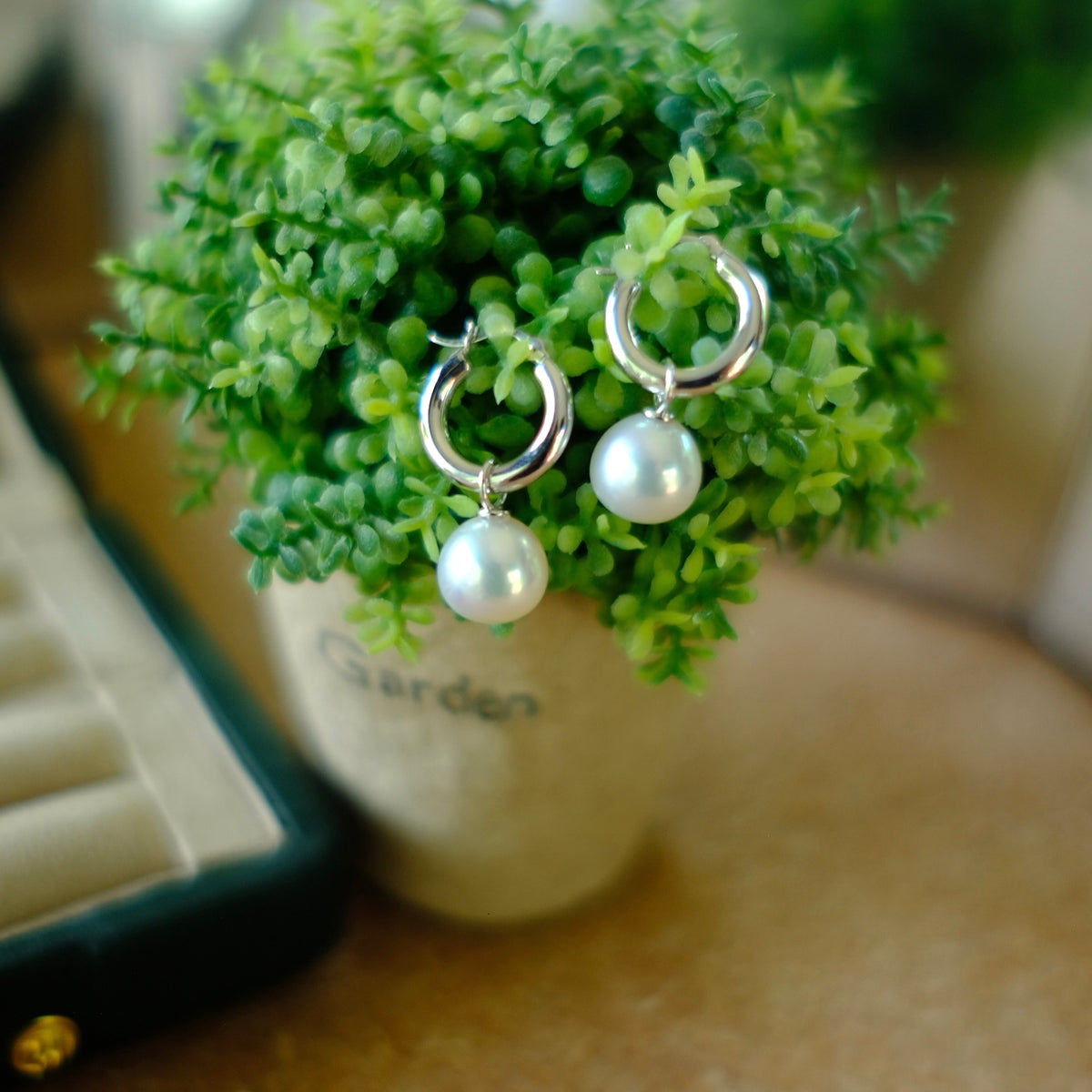 Z025 Classic Earrings Accessories, AU750