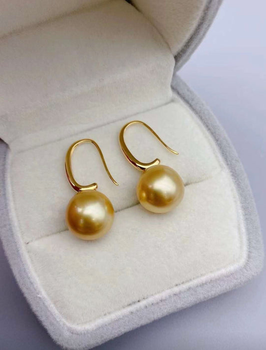 Z73 Classic Earrings Accessories, AU750